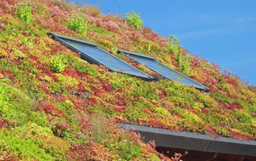 Williamhope living roof systems